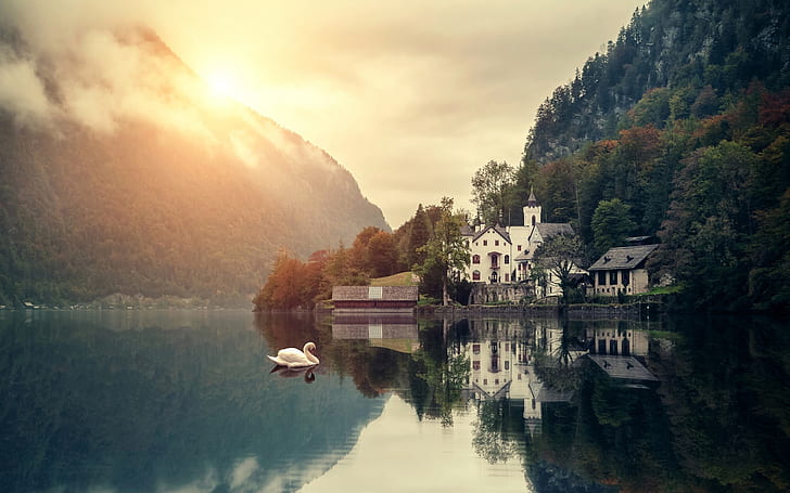 Beautiful morning scenery, mountain, lake, house, swans, forest, HD wallpaper
