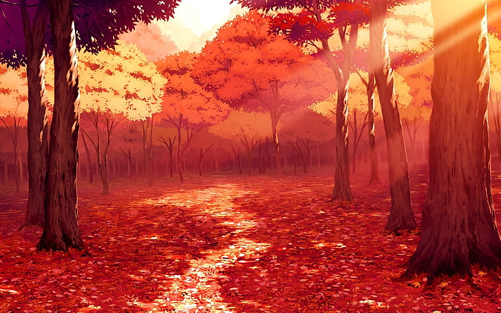 red trees forest wallpaper, illustration of trees during golden hour