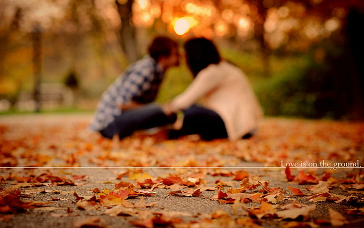 Love pair autumn, brown leaves, mood, couples, foliage, parks, HD wallpaper