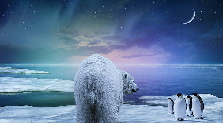 polar bear and penguins illustration, northern lights, arctic