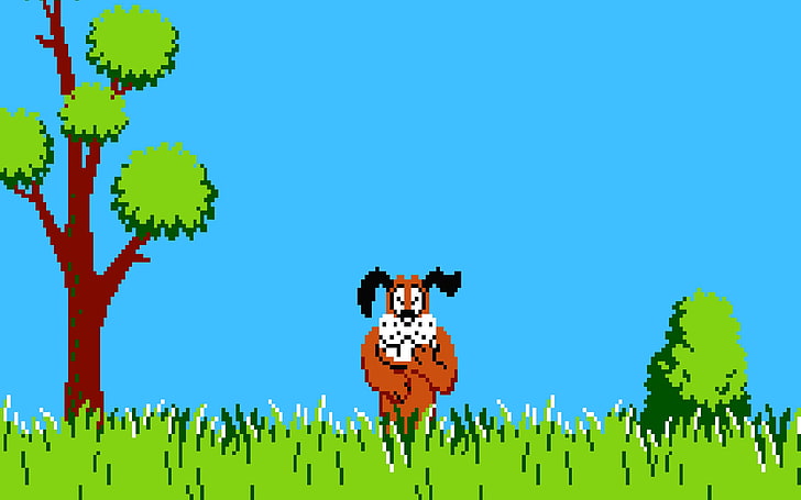 duck hunt pc game free download