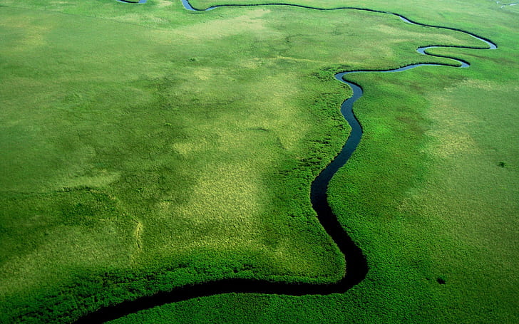 river, nature, aerial view, green, HD wallpaper