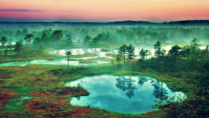 lake, landscape, nature, Estonia, water, reflection, tree, tranquil scene, HD wallpaper