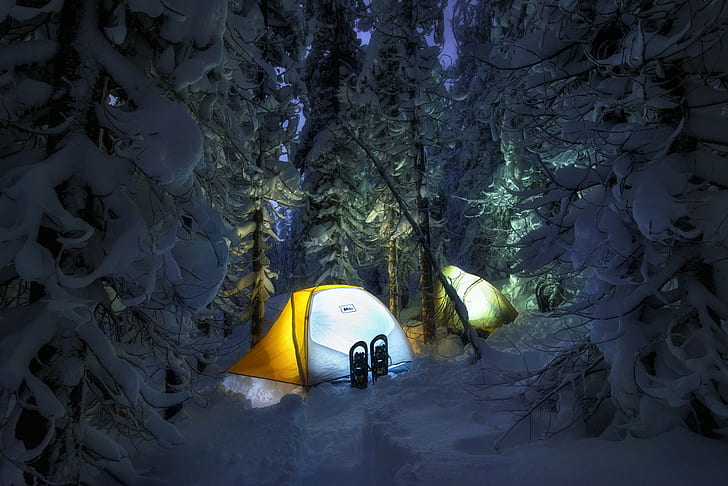 snow, tent, forest, winter, night, camping