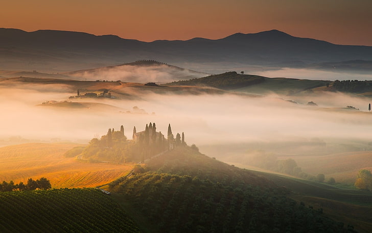 green grassfield, italy, tuscany, hills, fog, nature, val d'Orcia