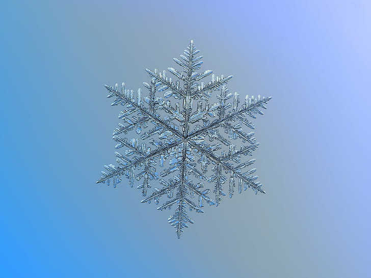 gray snowflake illustration, macro, majestic, explore, photo, HD wallpaper