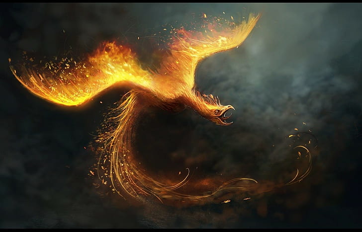 birds, phoenix, digital art, fire, HD wallpaper