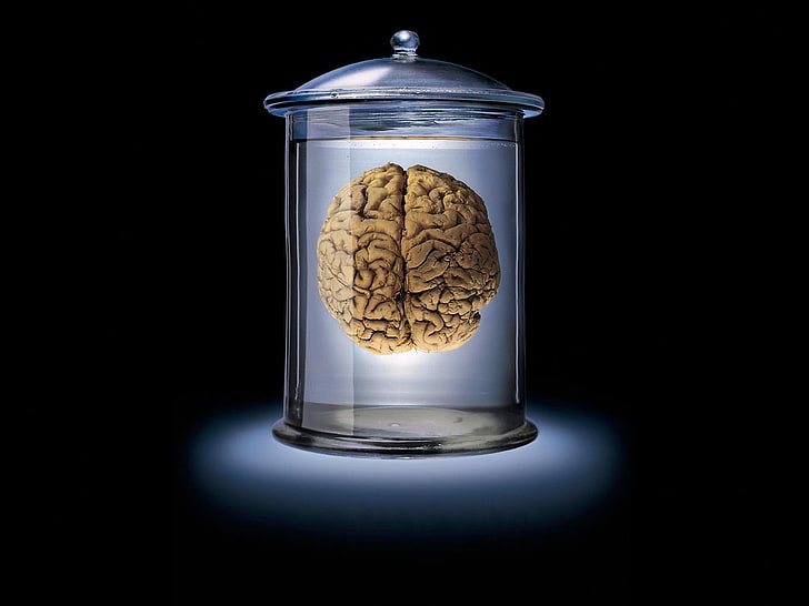 human brain in a jar clipart, glass, brown, blue, black, bank, HD wallpaper