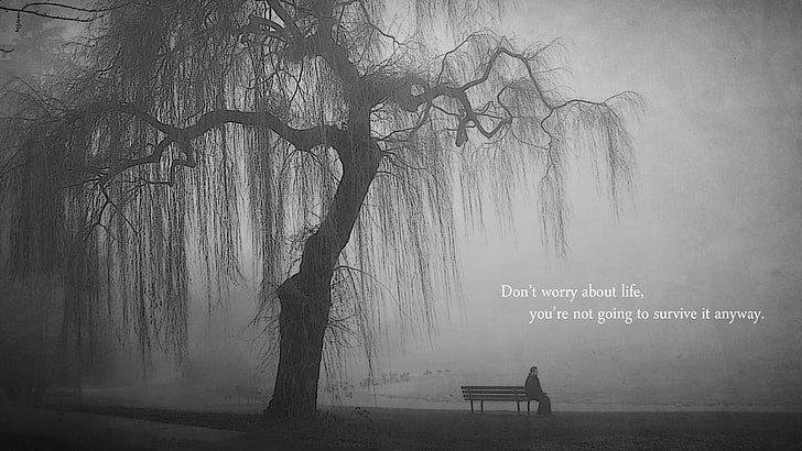 HD wallpaper: bench, grayscale, lakes, lonely, quotes | Wallpaper Flare