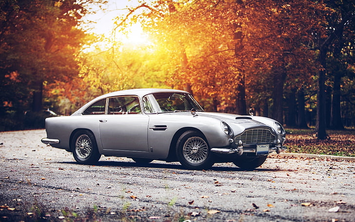 gray coupe, car, fall, sunset, Aston Martin, Aston Martin DB5, HD wallpaper