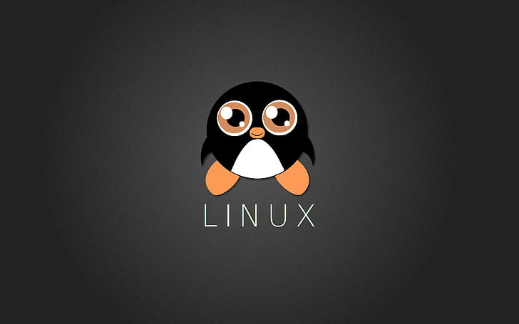 tux, linux, computer, ubuntu, penguin, studio shot, indoors, HD wallpaper
