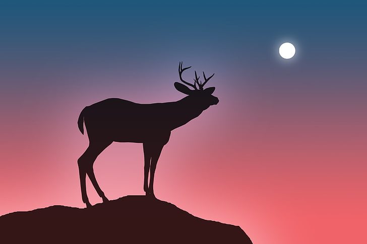 HD wallpaper: the sky, open, jump, the moon, deer, horns, abyss ...