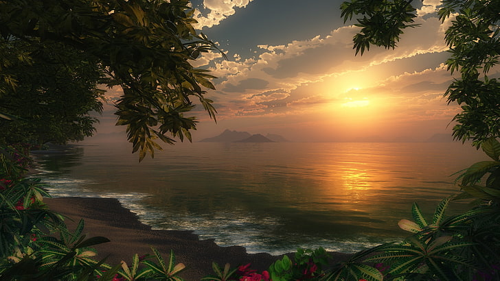 widescreen nature 2560x1440, water, sunset, plant, beauty in nature, HD wallpaper