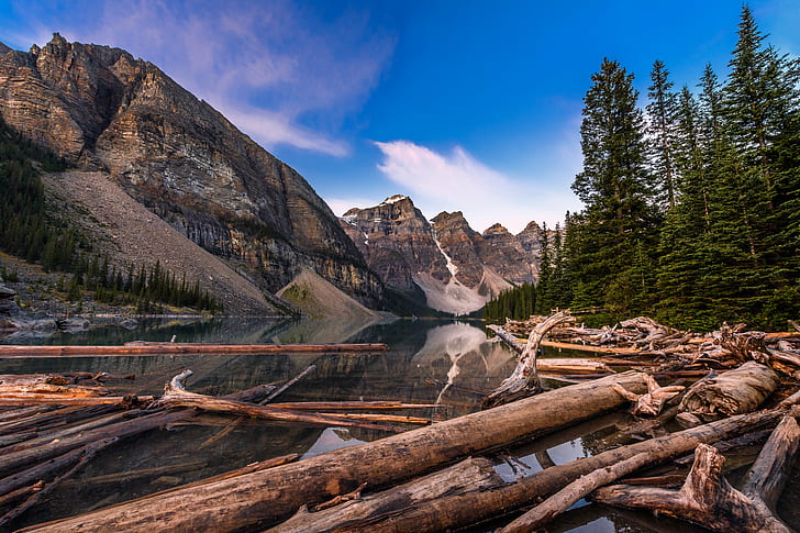 brown cut trees on water during daytime, moraine lake, banff national park, canada, moraine lake, banff national park, canada