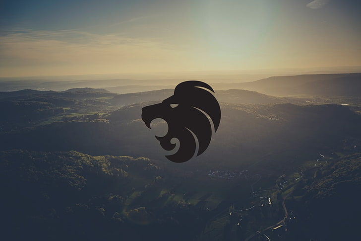 black lion head logo, Counter-Strike: Global Offensive, North, HD wallpaper