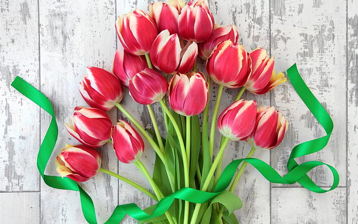 Red tulips, bouquet flowers, ribbon, HD wallpaper