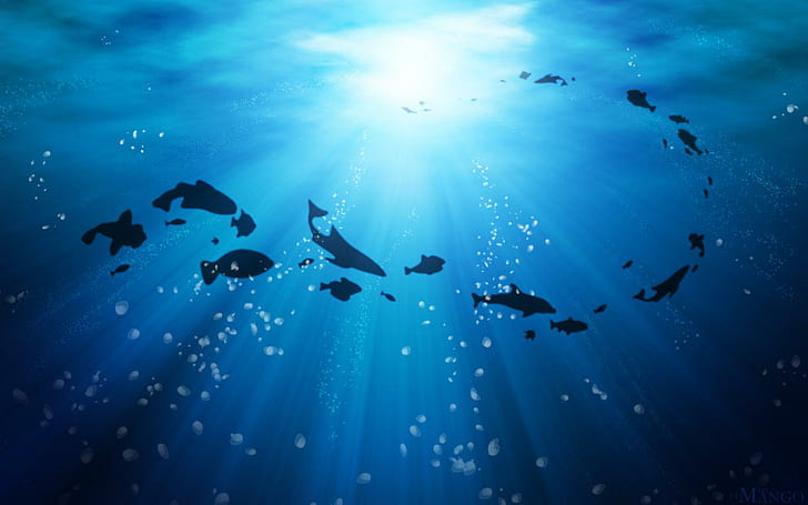 Life Ocean High Resolution, silhouette of fishes, HD wallpaper