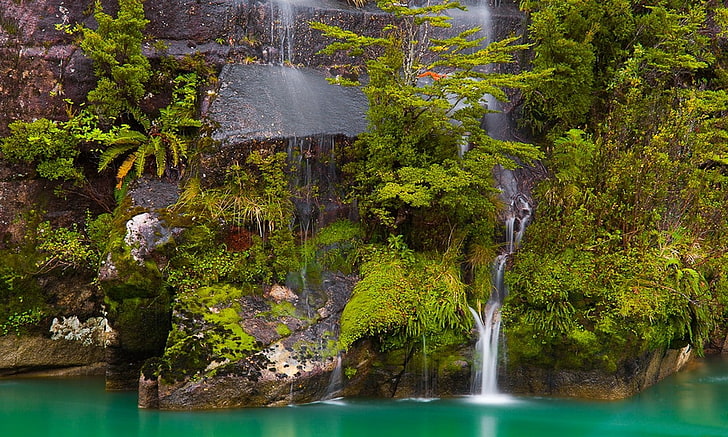 Chile, Patagonia, waterfall, ferns, river, shrubs, turquoise, HD wallpaper