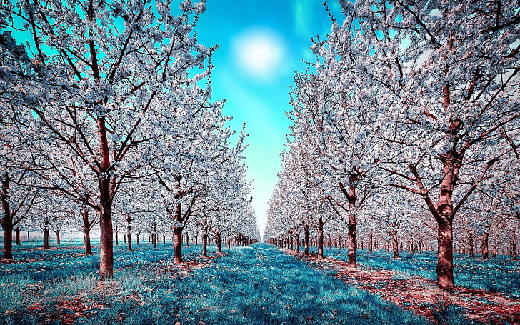 white leaf brown tree, nature, infrared, trees, plant, beauty in nature, HD wallpaper
