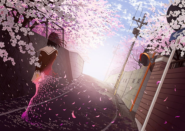 anime girls, school uniform, cherry blossom, one person, pink color, HD wallpaper