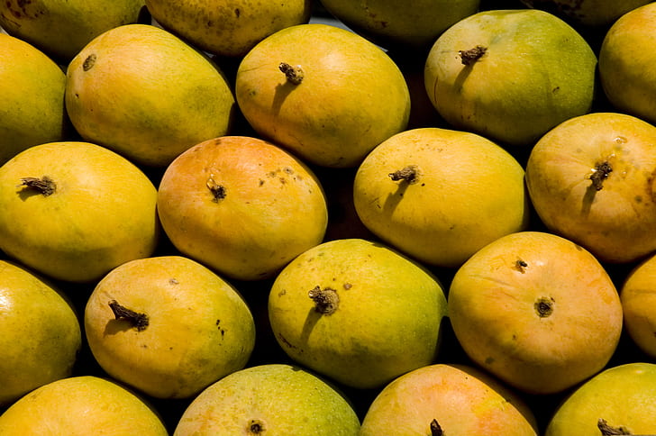 fruit, mango, nature, HD wallpaper