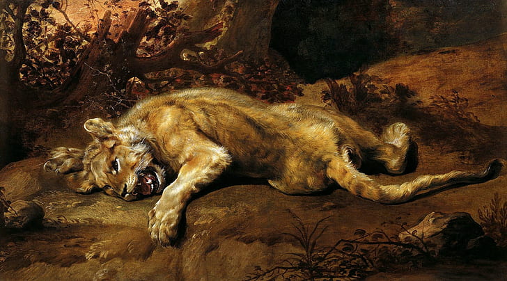 art, frans, lies, lioness, painting, picture, snyders, the