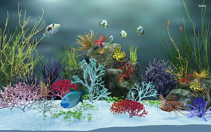 HD wallpaper: Fish Aquarium