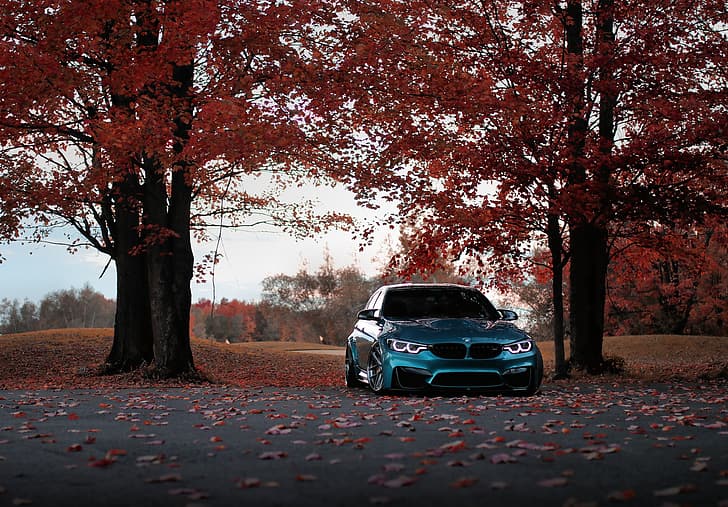 BMW, Blue, Autumn, F80, Sight