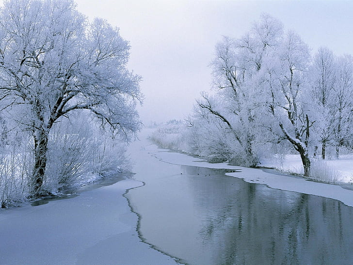 winter, trees, river, snow, ice, landscape, HD wallpaper