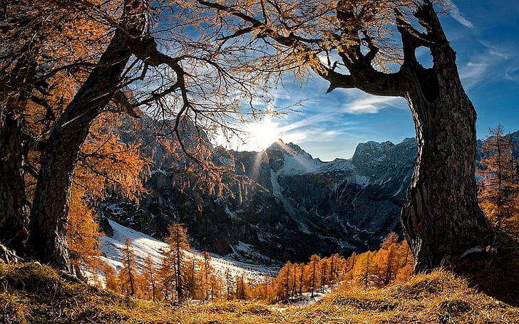 Landscape, Nature, Mountain, Sunrise, Forest, Snowy Peak, Winter, HD wallpaper