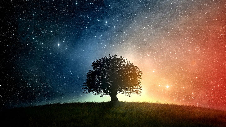 universe, grass, starry, stars, field, astronomy, landscape