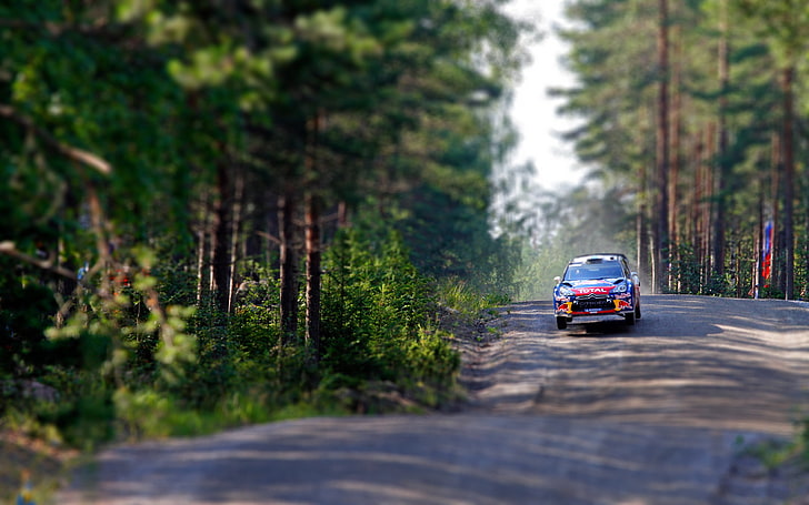 Trees, Forest, Speed, Race, Citroen, DS3, WRC, Rally, Flies, HD wallpaper