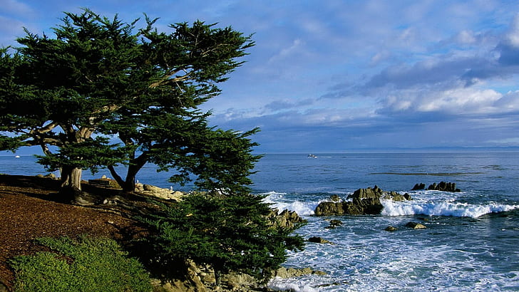 Nature, Landscape, Coast, Sea, Rock, Trees