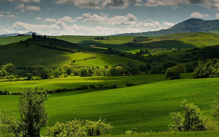 Italy, Tuscany, green fields, trees, clouds, dusk