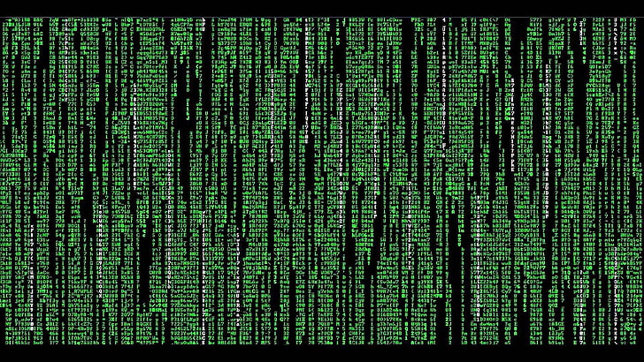 matrix   desktop, green color, no people, forest, backgrounds, HD wallpaper