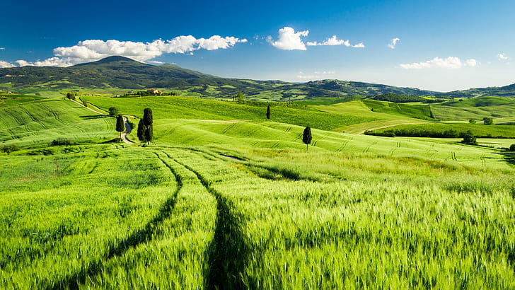 Tuscany, Italy, green fields, spring, HD wallpaper