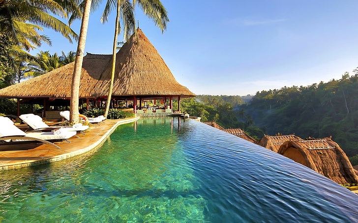 brown hut, nature, landscape, swimming pool, palm trees, resort, HD wallpaper