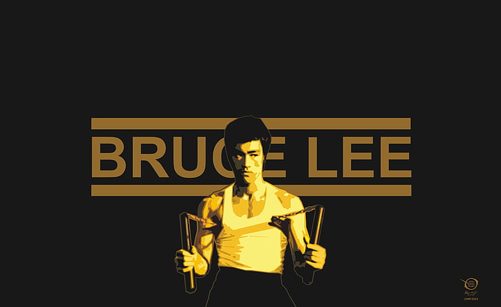 Bruce Lee, Bruce Lee digital wallpaper, Aero, Vector Art, zelko, HD wallpaper