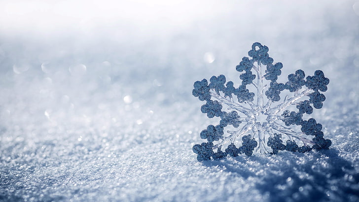 winter, snow, freezing, frost, snowflake, christmas, silver, HD wallpaper