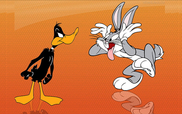 Bugs Bunny And Daffy Duck Funny Cartoon Hd Wallpaper 1920×1200, HD wallpaper