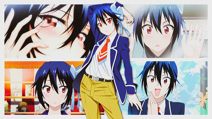 anime, anime girls, Nisekoi, school uniform, Tsugumi Seishirou, HD wallpaper
