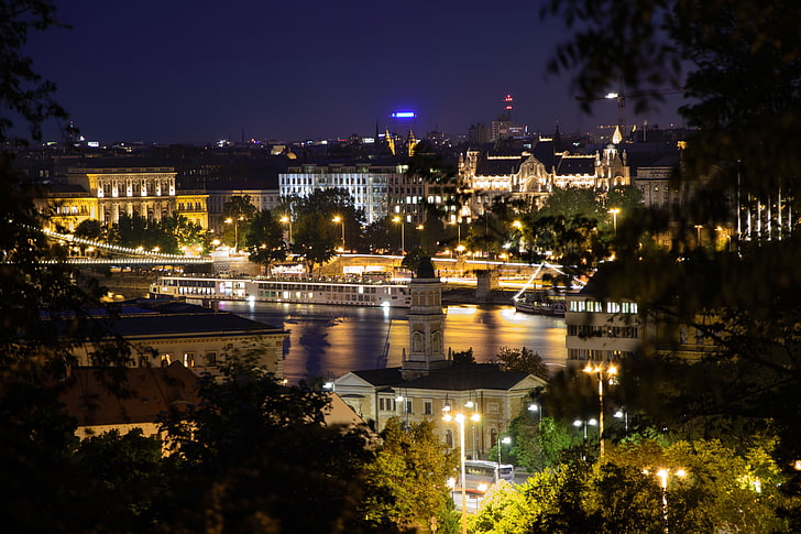 Budapest, Danube, city, night, illuminated, architecture, building exterior, HD wallpaper