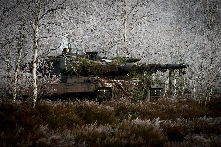Bundeswehr, Leopard 2, German, tank, Can, 2a6m, forest, MBT