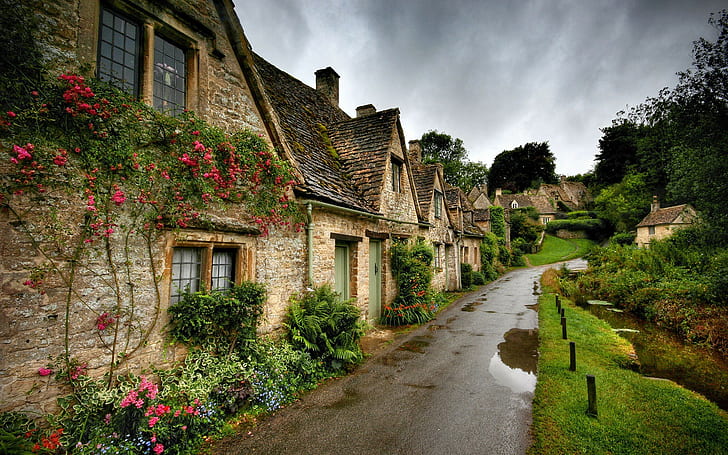rain, village, England, road, house, flowers, nature