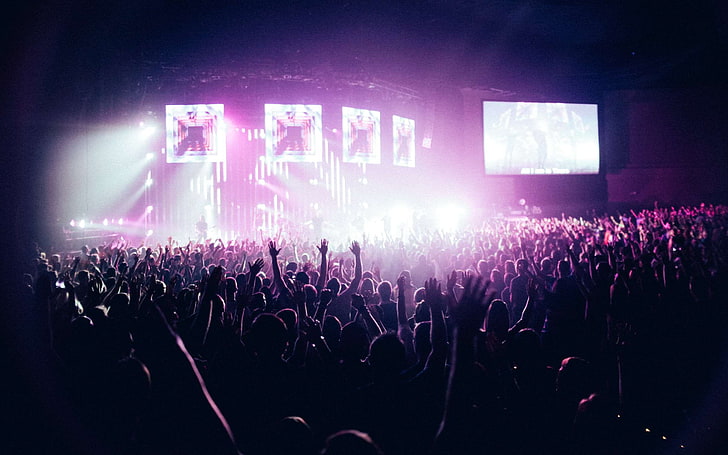audience, backlit, band, club, concert, crowd, dancing, festival, HD wallpaper