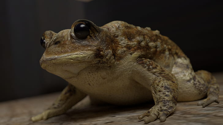frog, CGI, amphibian, HD wallpaper