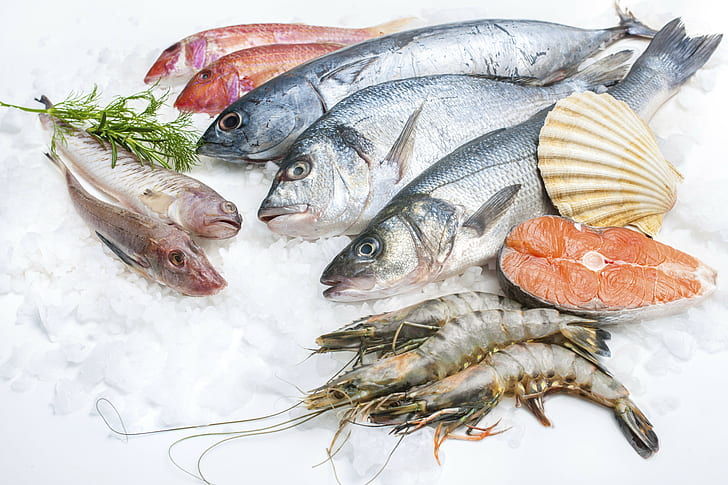 fish, food, ocean, sea, seafood, HD wallpaper