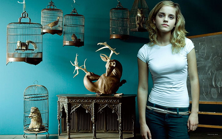 Emma Watson, Harry Potter, actress, children, celebrity, one person, HD wallpaper