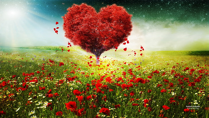 Love heart, Valentines Day, Tree, Sunlight, Spring, Poppy flowers, HD wallpaper