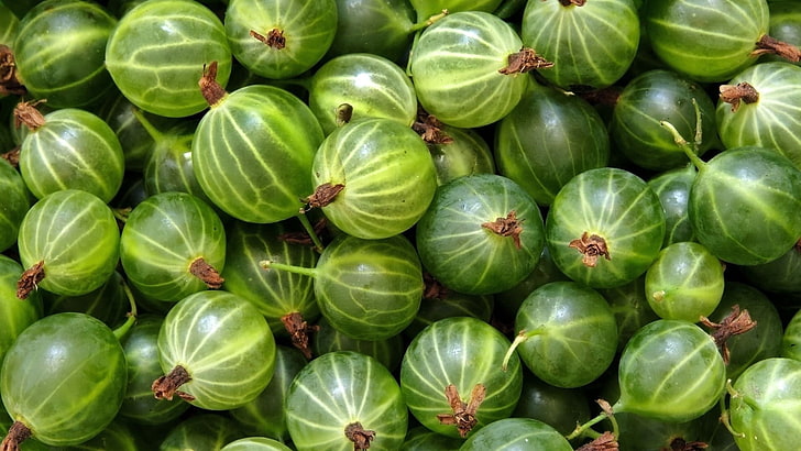 Download Caption: Healthy and Vibrant Gooseberry Fruit Wallpaper |  Wallpapers.com